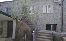 Apartman Mladic